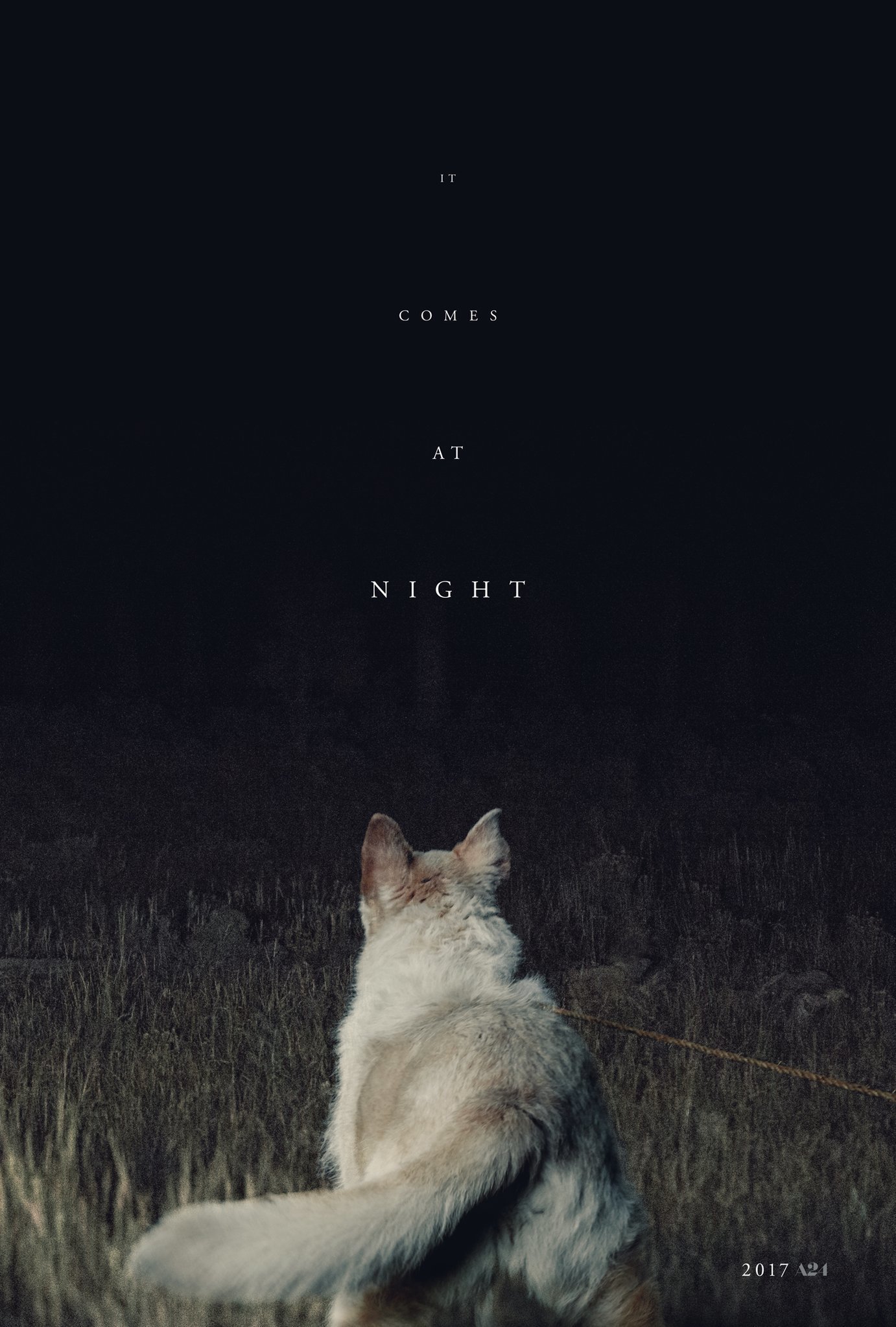 Poster de la película "Llega de noche"