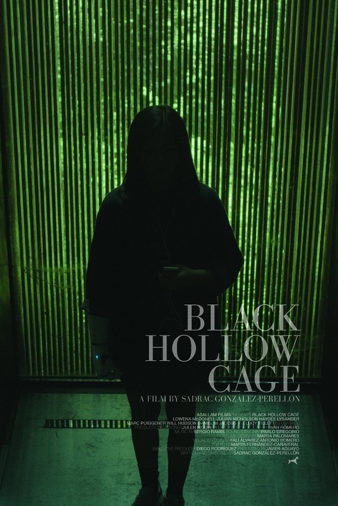 Poster de la película "Black Hollow Cage"