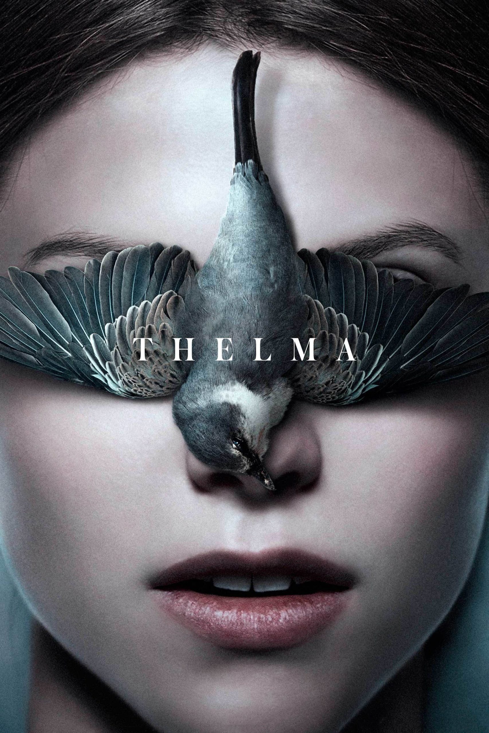 Poster de la película "Thelma"