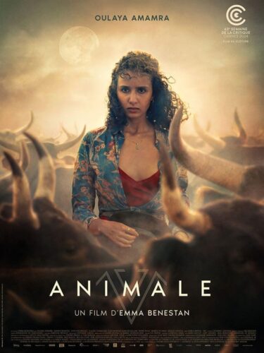 Animale Poster